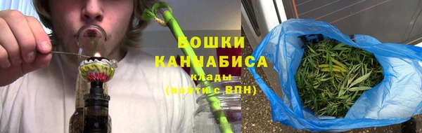 молекула духа Медногорск