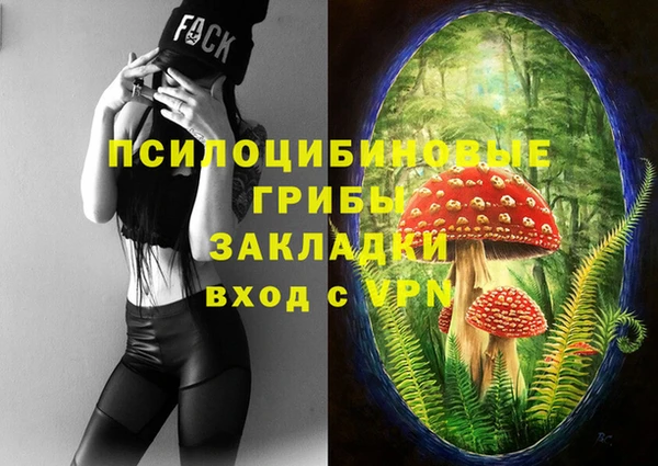 МДПВ Майский