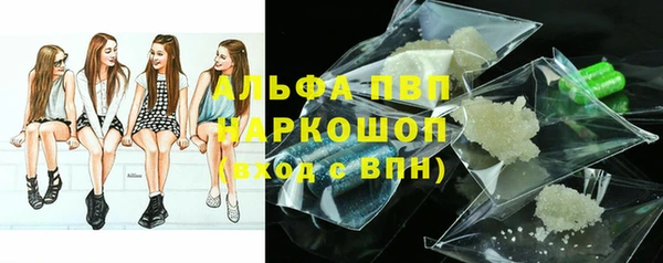 МДПВ Бородино