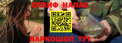 спиды Гусев