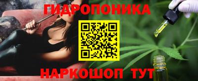 бошки Гусь-Хрустальный