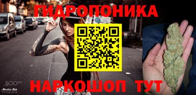 спиды Гусев
