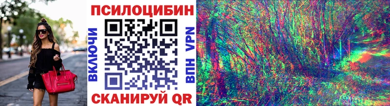 Псилоцибиновые грибы Psilocybe  Карачаевск 