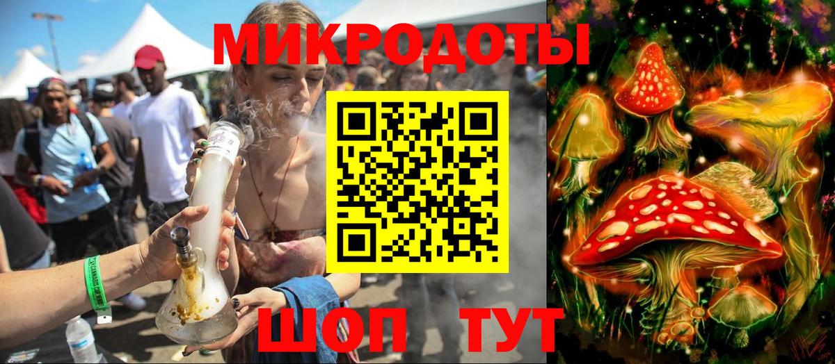 Псилоцибиновые грибы Psilocybine cubensis Карачаевск