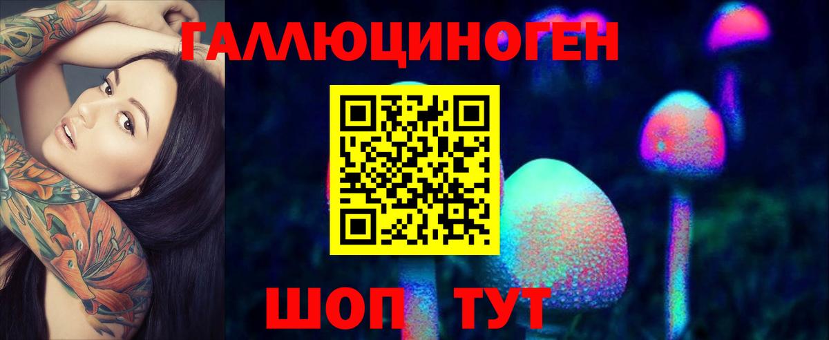 Карачаевск  Галлюциногенные грибы прущие грибы  Вход с VPN 